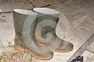 Galoshes