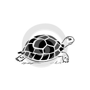 Galpagos Tortoise. Galpagos Tortoise simple black and white line art vector logo