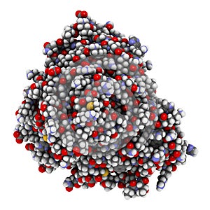 Galsulfase (arylsulfatase B) enzyme molecule photo