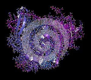 Galsulfase (arylsulfatase B) enzyme molecule photo