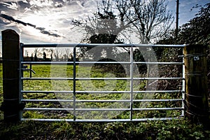 Galvanised seven bar gate