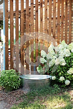 Galvanized basin in garden against wooden wall at home. Metal bath in backyard.