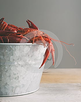 Galvanized steel bucket filled with boiled crawfish. Side view, gray background with copy space.