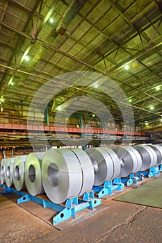 Galvanized steel coil