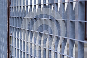 Galvanized steel fence