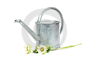 Galvanized watering can photo