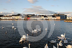 Galway