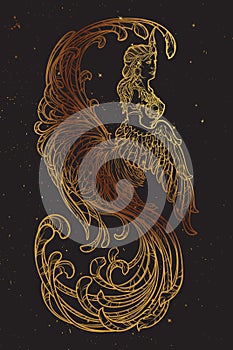 Gamayun - half-woman half-bird prophetic creature in Russian myths and fairy tales. Intricate linear drawing isolated on