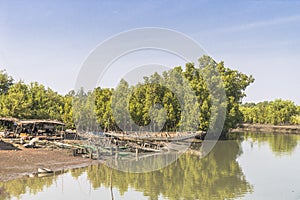 Gambia river