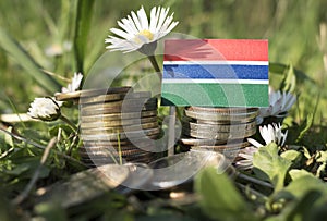 Gambian flag with stack of money coins with grass