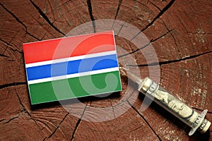 Gambian flag on a stump with syringe injecting money