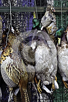 Game birds hanging at a butcher's shop