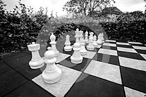 Game of chess with large pieces