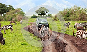 Game drive