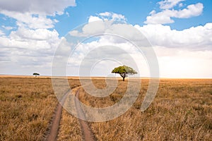 Game drive on dirt road with Safari car in Serengeti National Park in beautiful landscape scenery, Tanzania, Africa