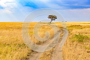 Game drive on dirt road with Safari car in Serengeti National Park in beautiful landscape scenery, Tanzania, Africa