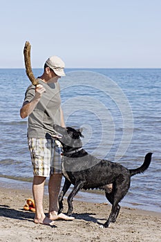 Er spielt aus bringen der Hund 