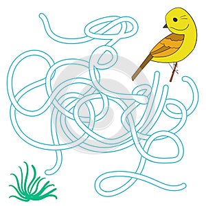 Game labyrinth find a way bird vector illustration