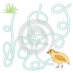 Game labyrinth find a way quail vector