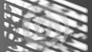 Game of shadow with blinds and trees blend effect