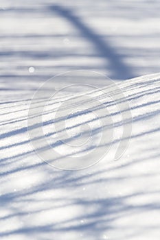 A Game of Shadows on snow
