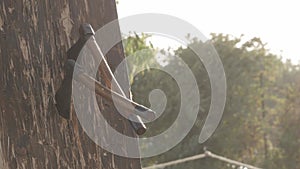 game of throwing hatchets on a wooden board