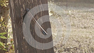 game of throwing hatchets on a wooden board