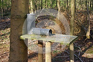 Gamebird feeder in woodland