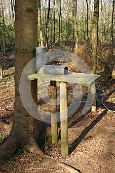 Gamebird feeder in woodland