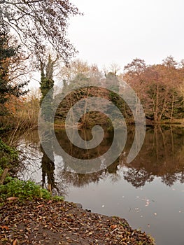 gamekeeper's pond winter autumn trees sunlight lake bare branche