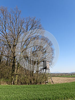 Gamekeepers hideout at the forest border