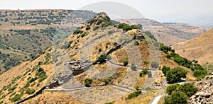 Gamla, Gamalawas an ancient Jewish city on the Golan Heightsin Israel .