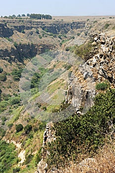 Gamla Nature Reserve in Israel