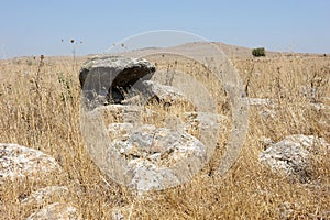 Gamla Nature Reserve in Israel