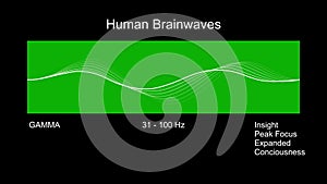 Gamma Human Brain Waves Diagram.