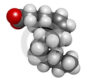 Gamma-linolenic acid GLA, gamolenic acid molecule. Omega-6 fatty acid present in many vegetable oils, including evening primrose photo
