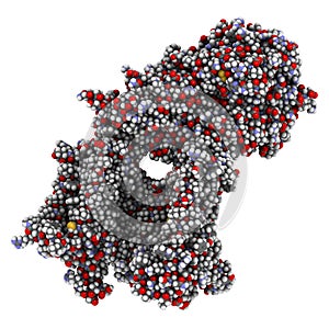 Gamma secretase protein complex. Multi-subunit intramembrane protease that plays role in processing of proteins such as amyloid photo