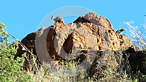 Gammon ranges, south australia