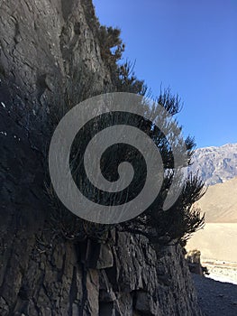 Gandaki River in Winter in Mustang District, Nepal.