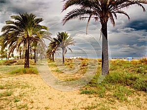 Gandia playa nord beach in Valencia at Mediterranean Spain