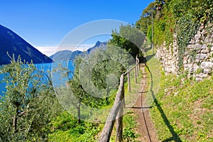 Gandria Sentiero dell`olivo on Lake Lugano