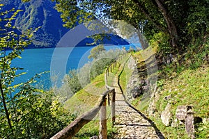 Gandria Sentiero dell`olivo on Lake Lugano photo