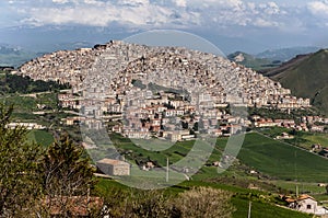 Gangi photo