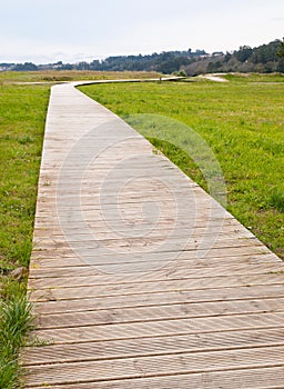 Gangway in a park