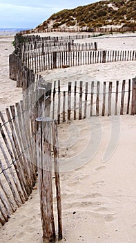 Ganivelle, a wooden coastal protection barrier on the beach of Sainte CÃ©cile Plage in Picardie photo