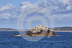 Gannet Rock, Alderney, Channel Islands