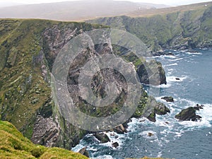 Gannets on sea cliffs at Hermaness on the north coast of the island of Unst in Shetland, Scotland, UK