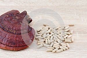 Ganoderma lucidum capsule - Ling zhi mushroom