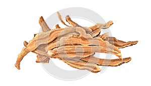 Ganoderma lucidum isolated on the white background.