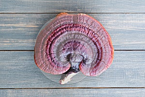 Ganoderma lucidum mushroom on wood table